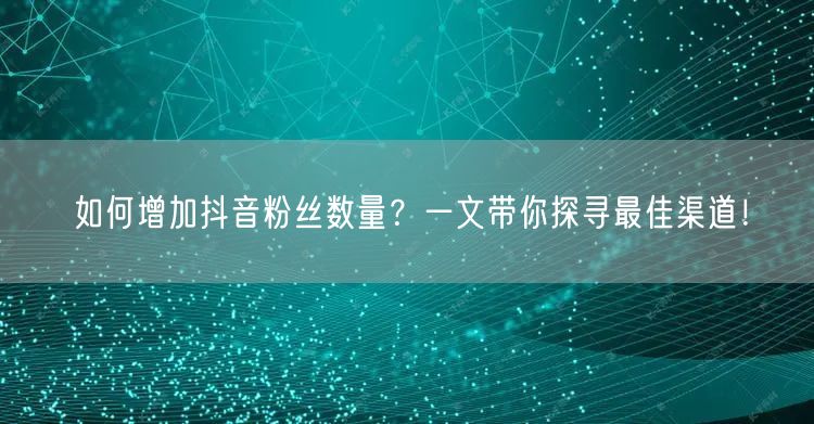 如何增加抖音粉丝数量？一文带你探寻最佳渠道！